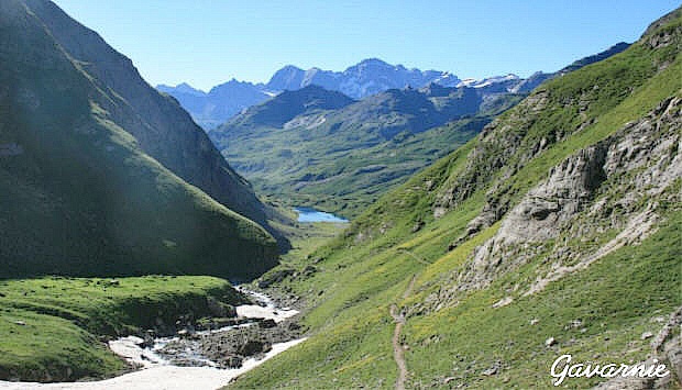 3Pyrenaenberghund-Gavarnie