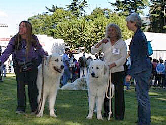 Argeles 2005 Elvis u. Nousty